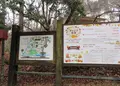 自然の森ファミリーオートキャンプ場の写真_913171