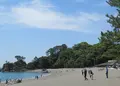桂浜の写真_949311
