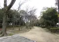 大物川緑地の写真_984482