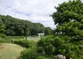 太田茶臼山古墳（継体天皇陵）の写真_986599