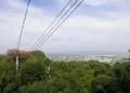 妙見山の写真_988105