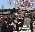 金剛峯寺の写真_30104