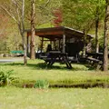 立岩水源公園の写真_45835