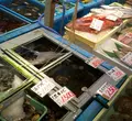 海の駅しおさい市場の写真_57156