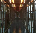 強羅花壇の写真_132207