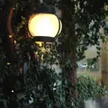 カフェ アクイーユ 恵比寿（cafe accueil）の写真_195652