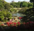 六義園の写真_16548