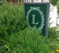 【閉業】ラデュレ（Ladurée） 青山の写真_571166