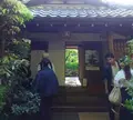 高桐院の写真_131506