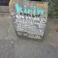 かみむら食堂の写真_44313