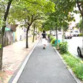 恵比寿ガーデンプレイスの写真_94976