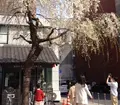 日本橋交番の写真_171276