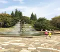 世田谷公園の写真_126143