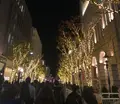 神戸旧居留地の写真_1285017