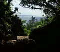 斎場御嶽の写真_413832