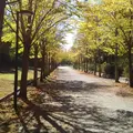 日本へそ公園の写真_287191