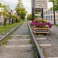 旧手宮線の写真_667016