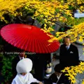 八芳園の写真_124200