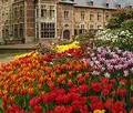 グロート・ベイハールデン城の写真_538909
