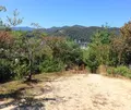 船岡山の写真_48798