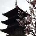備中国分寺の写真_124505