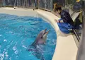 浅虫水族館の写真_19922