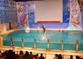 浅虫水族館の写真_19926