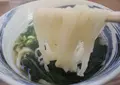 舩本うどん 本店の写真_21296