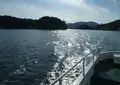 島田渡船の写真_21305