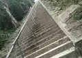 洲崎神社の写真_22142