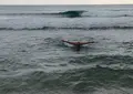 大籠海水浴場の写真_22497