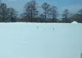 釧路湿原国立公園の写真_25845