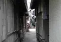 正法禅寺の写真_26241