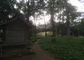 石垣山一夜城の写真_26751