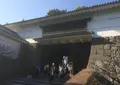 小田原城の写真_26790