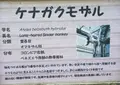 高鼻町４丁目の写真_27492