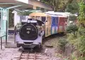 小田原城の写真_27977