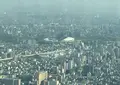 ハルカス300 展望台の写真_29488