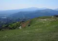 大野山の写真_29938