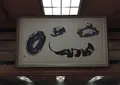 金剛峯寺の写真_30120