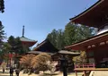 壇上伽藍の写真_30178