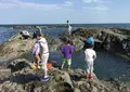 照ヶ崎海岸の写真_30390