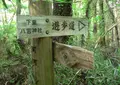 仙元山の写真_30559