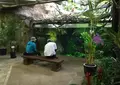 茨城県植物園の写真_30910