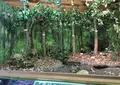 森のカルチャーセンターの写真_30915