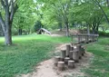 森のカルチャーセンターの写真_30917