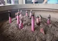総持寺の写真_31305