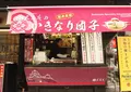 熊本城の写真_32260