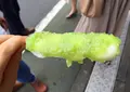 だんごのつくし屋の写真_33710