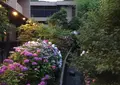 熱海 ふふ の写真_33994